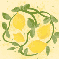 Lemon Tree