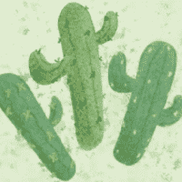 Cactus