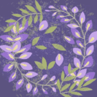 Wisteria