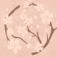 Cherry Blossom