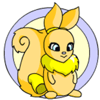 Usul