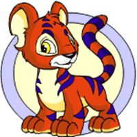 Kougra