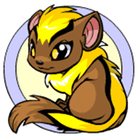 Xweetok