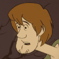 Shaggy Rogers