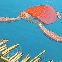 Woman / The Red turtle