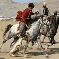 Buzkashi