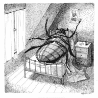 Gregor Samsa