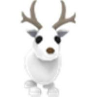 Arctic reindeer