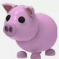 Pig