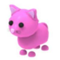 Pink cat