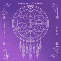 Dreamcatcher - Fly high