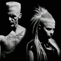 Die Antwoord