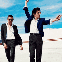 The Last Shadow Puppets