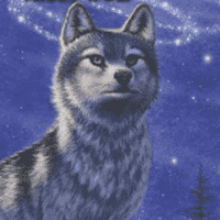 Wolves of the Beyond