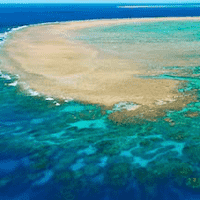 Great Barrier Reef