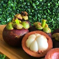 Mangosteen