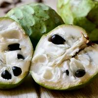 Sugar-apple