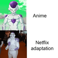 Netflix Adaptation