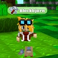 Blockbjorn