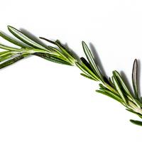 Rosemary