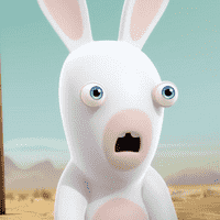 Rabbid