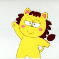 Pokota 