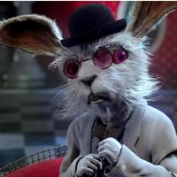 White Rabbit