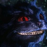 Cheshire Cat