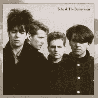 Echo & The Bunnymen