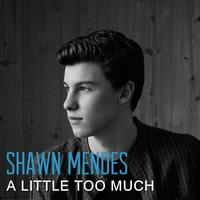 Shawn Mendes - A Little Too Much