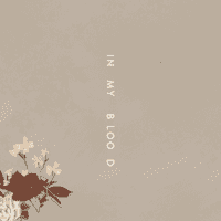 Shawn Mendes - In My Blood