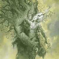 Plant Person