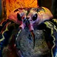 Scorpius