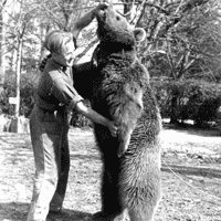 Wojtek the Soldier Bear