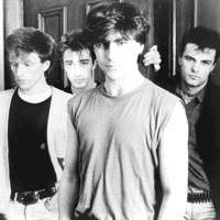 The Chameleons