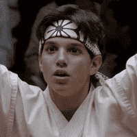 The Karate Kid (Franchise)