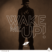 Avicii - Wake Me Up