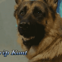Garip Kont