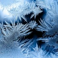 Frost