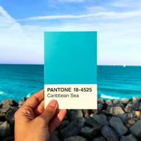 Caribbean blue