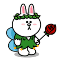 Cony