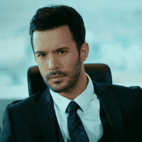 Kiralık Aşk (Love For Rent)