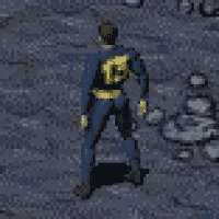 How you played “The Vault Dweller”