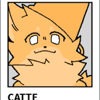 Catte