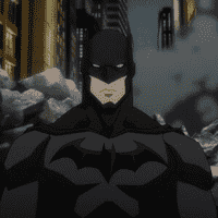 Bruce Wayne / 'Batman'