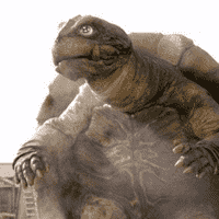 Toto (Gamera Millennium)