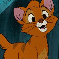 Oliver & Company (1988)
