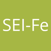 SEI-Fe