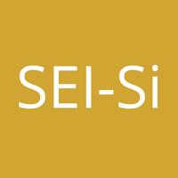 SEI-Si