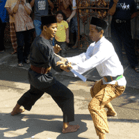 Pencak silat